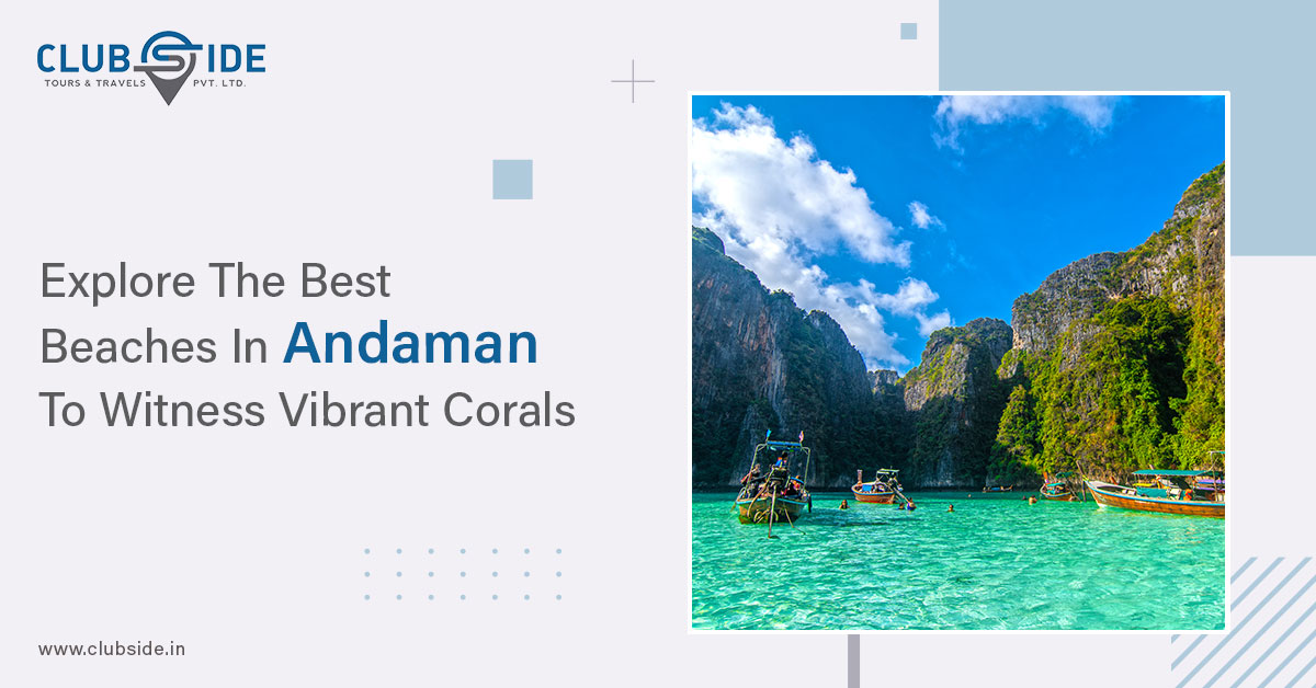 Explore The Best Beaches In Andaman To Witness Vibrant Corals