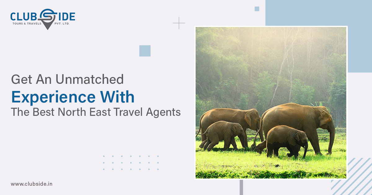 Get An Unmatched Experience With The Best North East Travel Agents