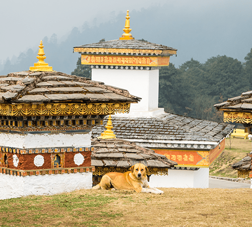 Thimpu Dochula Paro