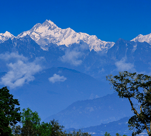 The Singalila Trek