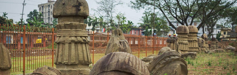 Get help to organize tour with Northeast tour operators