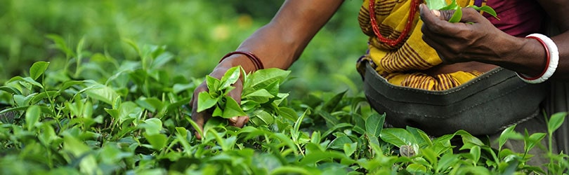 West Bengal