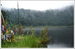 Pelling
