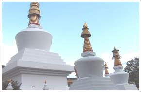 Do-Drul Chorten (Stupa)