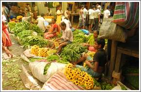 Flower Market
