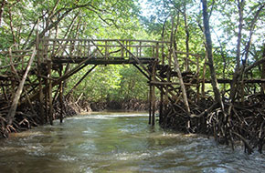 Baratang Island