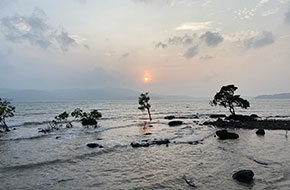 Chidya Tapu
