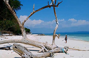 Havelock Island