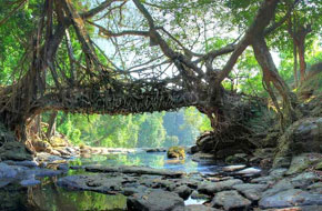 Meghalaya
