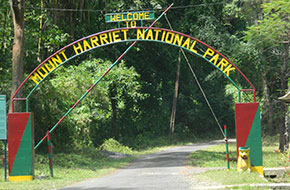 Mount Harriet