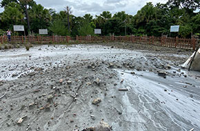 Mud Volcano