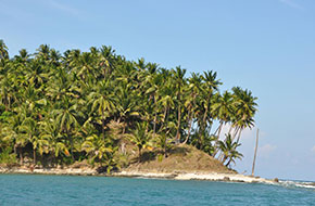 Viper Island