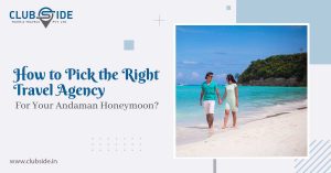 How to Pick the Right Travel Agency for Your Andaman Honeymoon?