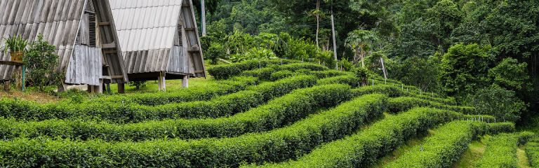 Shillong and Cherrapunjee