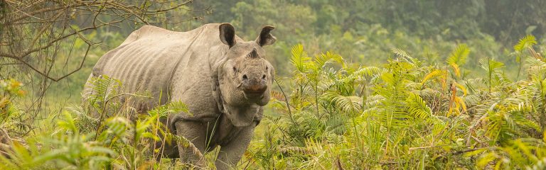 Northeast Distance Chart